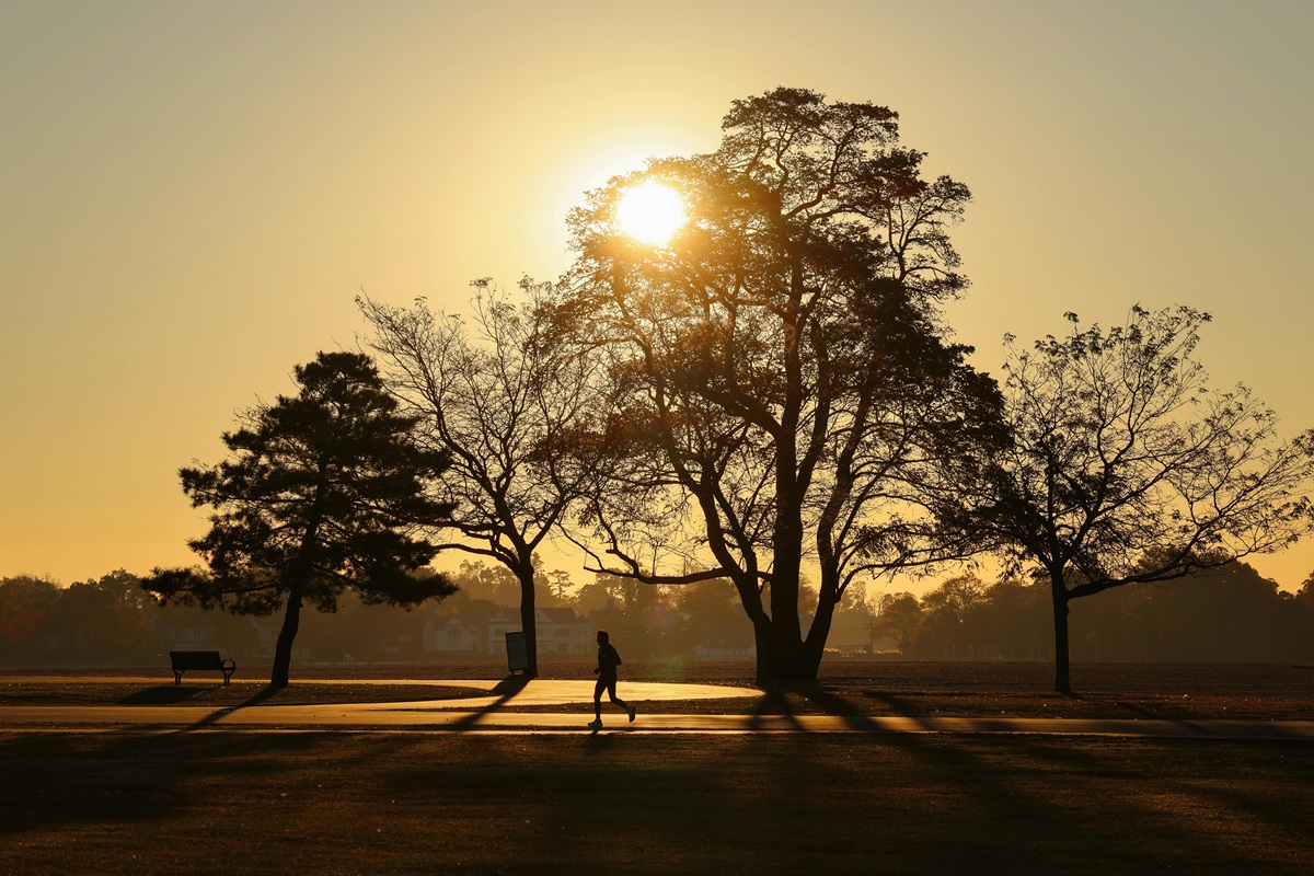 lone runner at sunrise